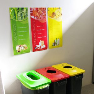 educational bin posters